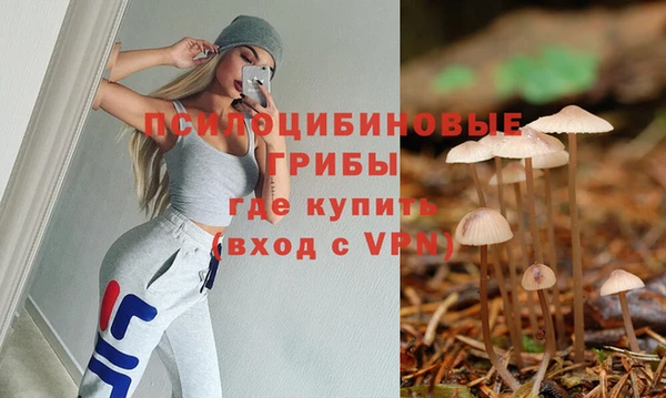 эйфоретик Заводоуковск