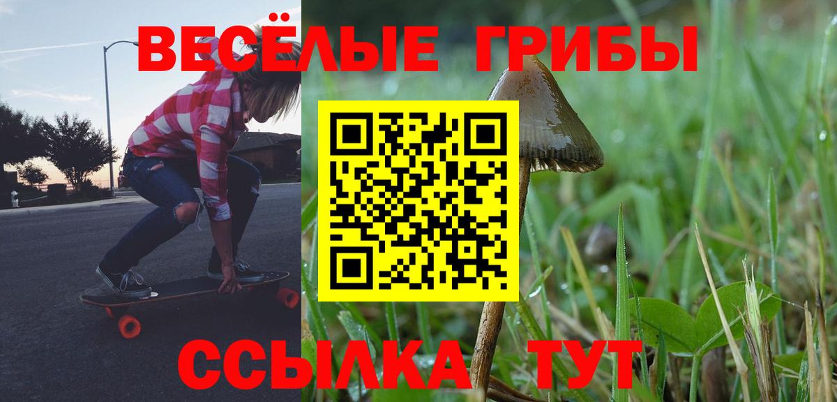Галлюциногенные грибы мицелий Слободской