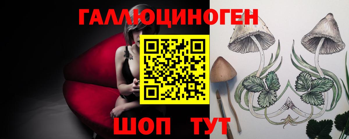 Псилоцибиновые грибы мицелий  Вход с VPN  Слободской  Псилоцибиновые грибы мицелий 